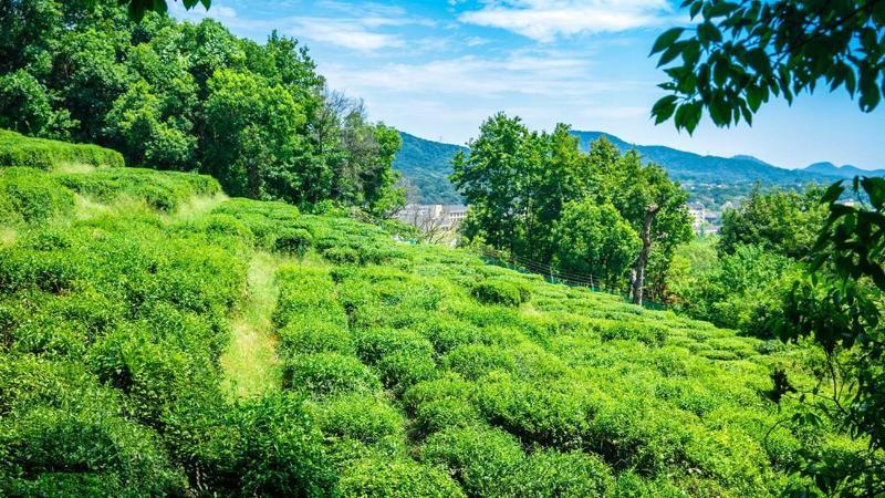 Meilu Legend Hotel Hangzhou Eksteriør bilde